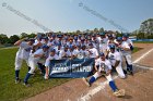 Baseball vs Babson  Wheaton College Baseball players celebrate their victory over Babson to win the NEWMAC Championship for the third year in a row. - (Photo by Keith Nordstrom) : Wheaton, baseball, NEWMAC